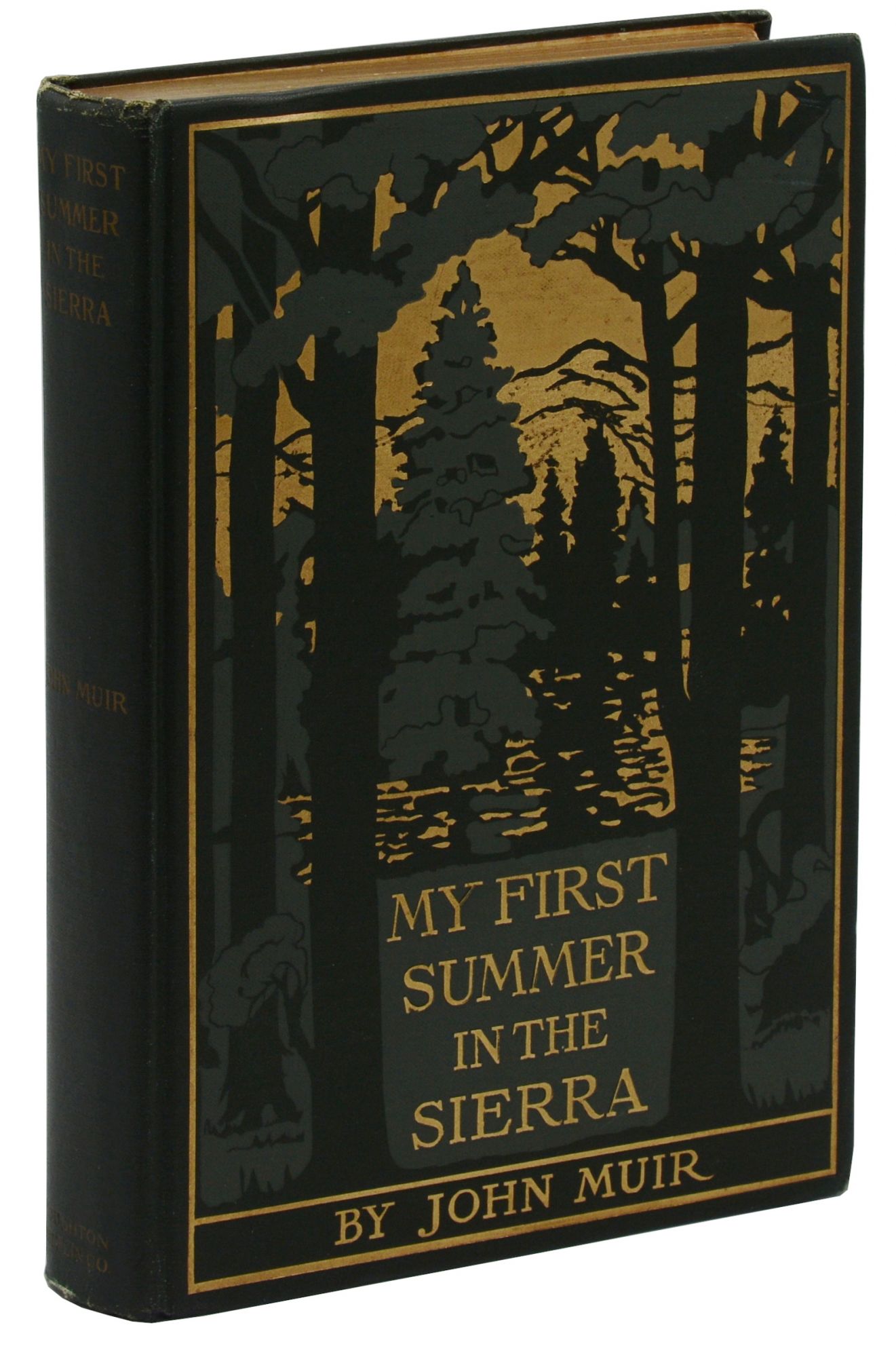 my first summer book my first summer book