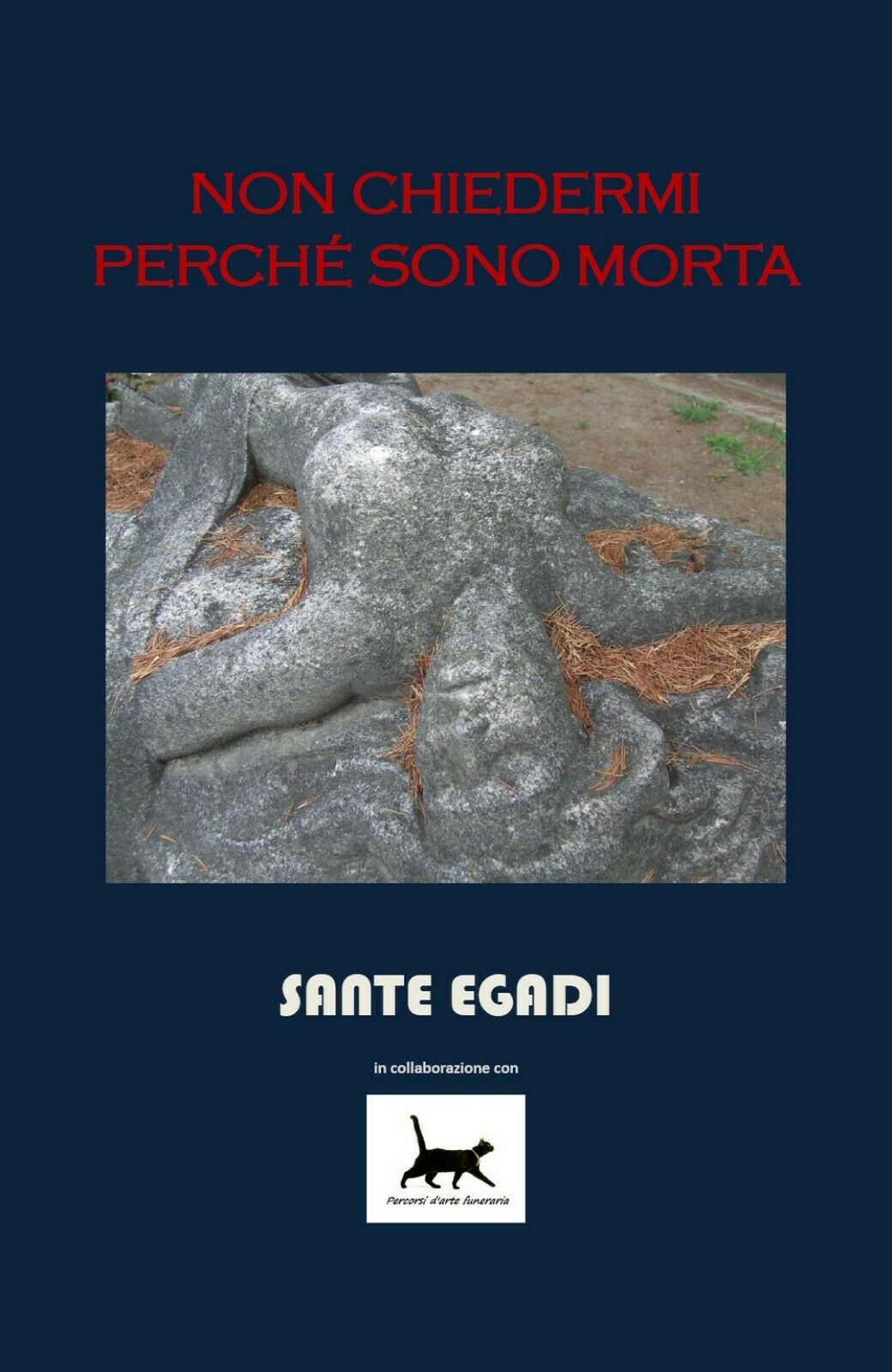 Non chiedermi perché sono morta di Sante Egadi, 2016, Youcanprint - Egadi, Sante