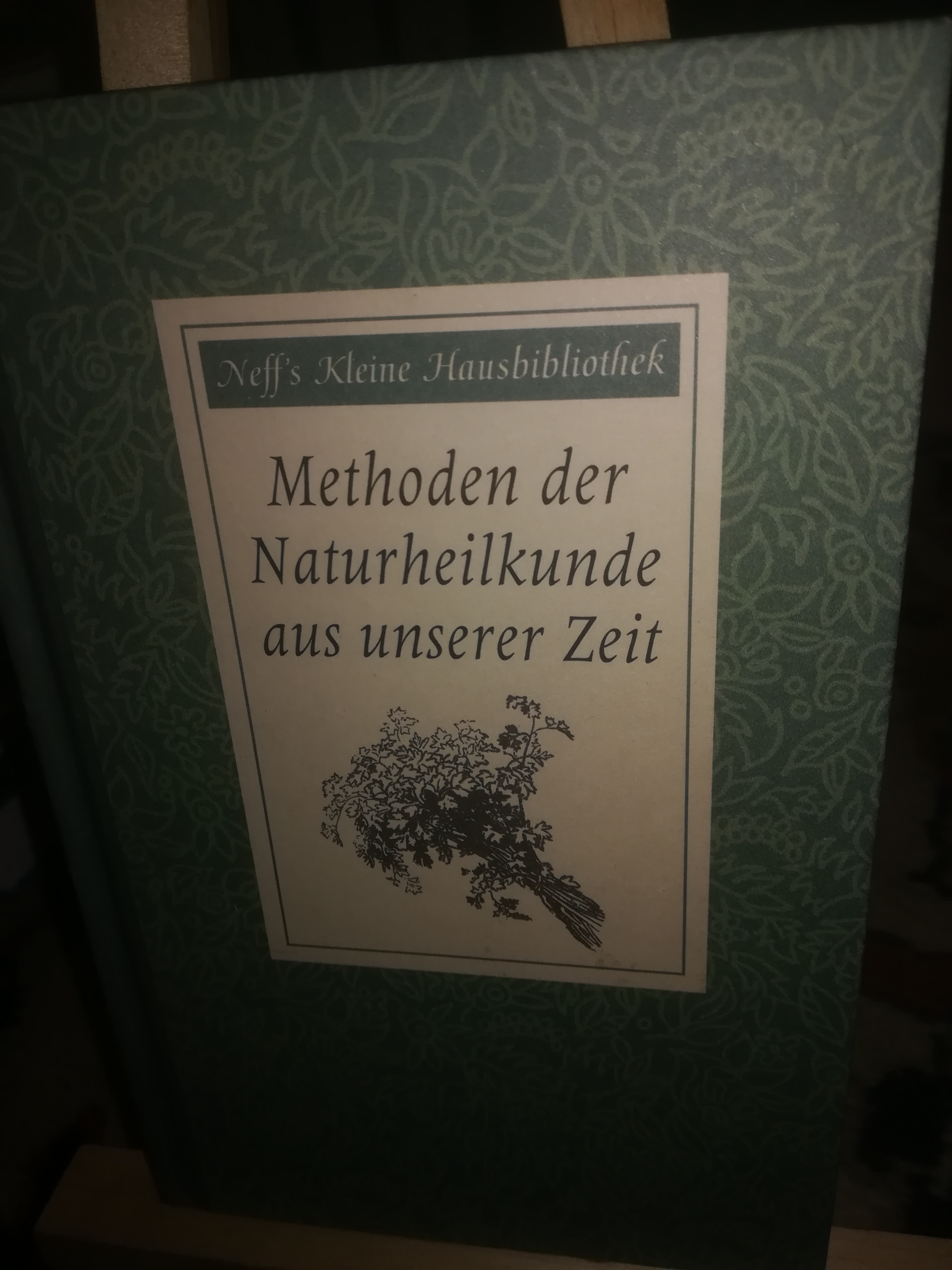 Methoden der Naturheilkunde aus unserer Zeit - Alexander Maximilian