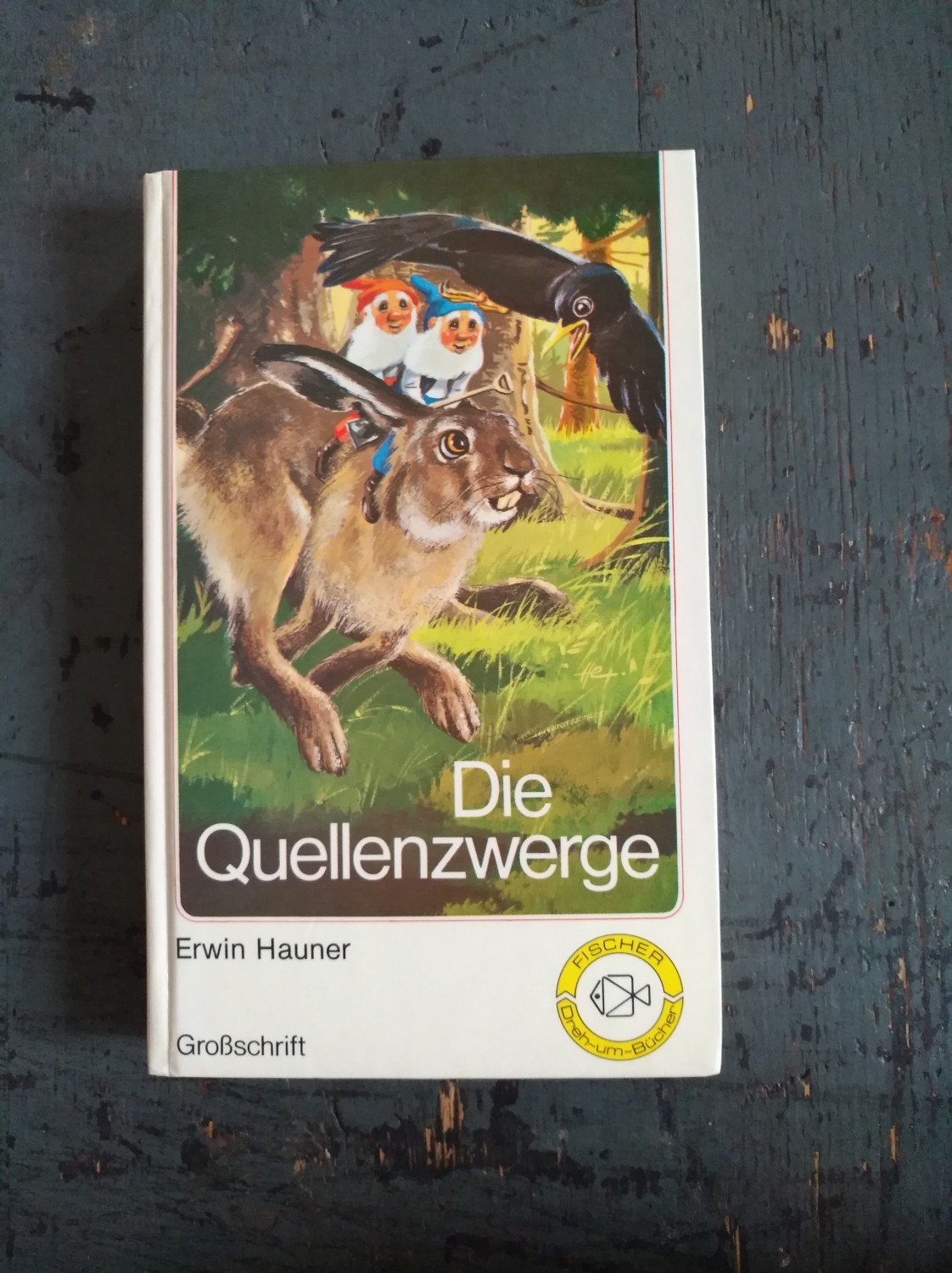 Die Quellenzwerge / Susanne und das Kätzchen - Erwin Hauner / Evelyne Kolnberger