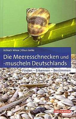 Die Meeresschnecken Und Muscheln Deutschlands Finden Erkennen Bestimmen By Wiese V Janke K 2020 Conchbooks