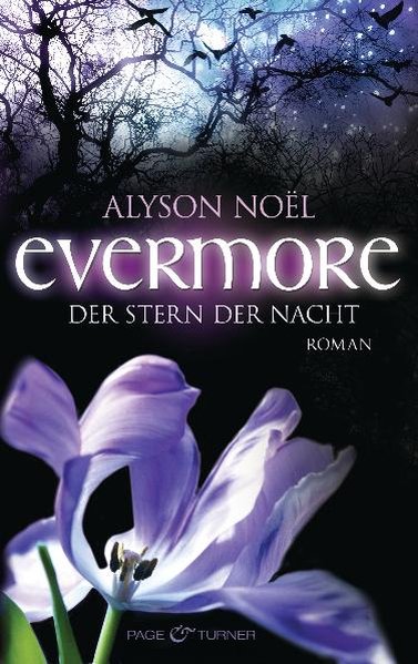 Evermore 5 - Der Stern der Nacht: Roman - Noël, Alyson