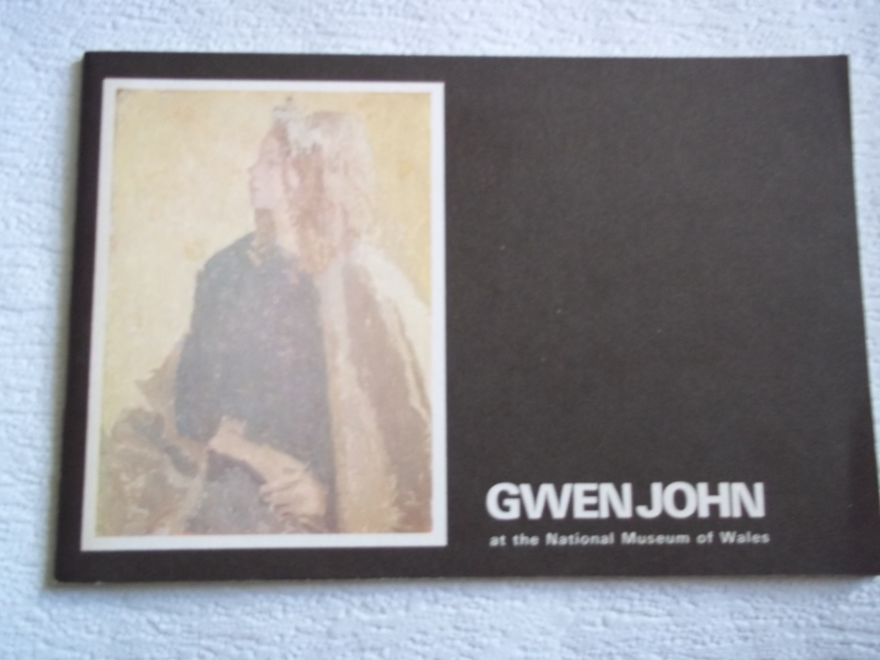 Gwen John at the National Museum of Wales - Jenkins, Anthony David Fraser