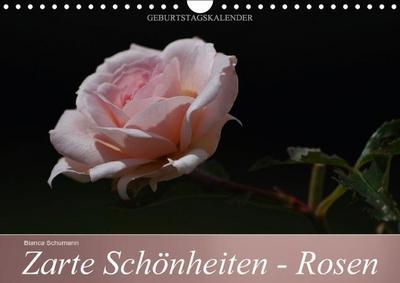 Zarte Schönheiten - Rosen (Wandkalender immerwährend DIN A4 quer) : Edle Königinnen der Blumen in ganzer Blütenpracht (Geburtstagskalender, 14 Seiten) - Bianca Schumann