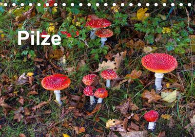 Pilze (Tischkalender 2021 DIN A5 quer) : Eine Auswahl fotogener Pilze (Monatskalender, 14 Seiten ) - McPHOTO Bäsemann Diehl Helwig Pum Schulz