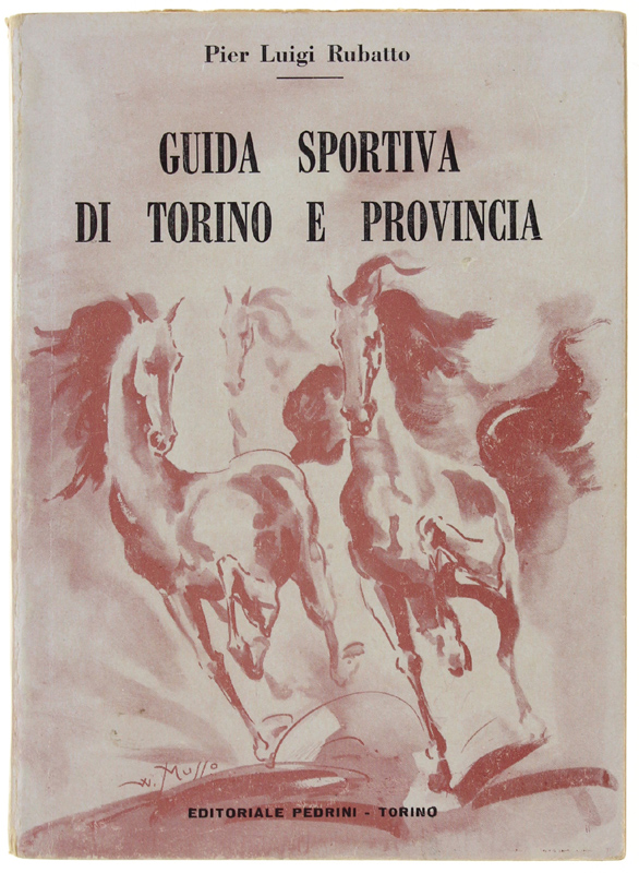 Abebooks GUIDA SPORTIVA DI TORINO E PROVINCIA.: