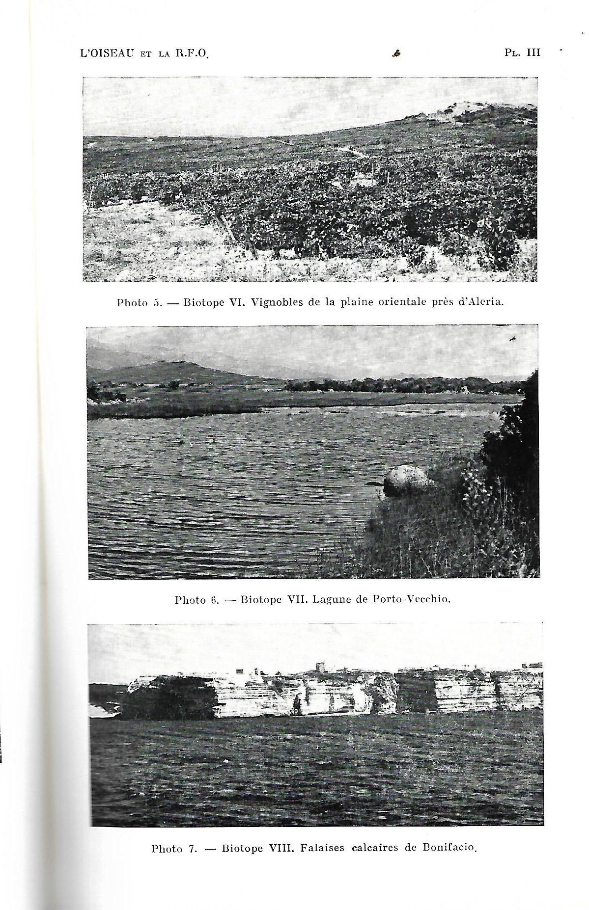 L'Oiseau et la revue française d'ornithologie revue trimestrielle. volume 44 Numéro 1 Collectif, revue fondée par Jean Delacour (1890-1985) [ ] [Couv