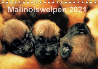 Malinoiswelpen 2021 (Tischkalender 2021 DIN A5 quer) : Klein, Frech und unglaublich putzig. (Monatskalender, 14 Seiten ) - Susanne Schwarzer