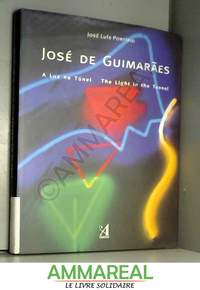 A Luz no Túnel - The Light in the Tunnel (Bilingue Edition) - Jose Luis Porfirio