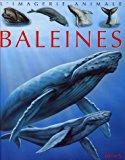 Les baleines - Agnès Vandewiele