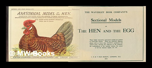 Anatomical model of the hen : five coloured plates (with key) - two volumes with the sectional supplement Vinton & Co [ ] [Hardcover]