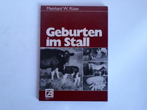Geburten im Stall - Rüsse, Meinhard W.