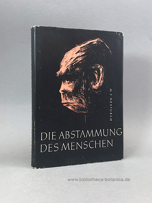 Die Abstammung des Menschen. - Nesturch, Michail F.