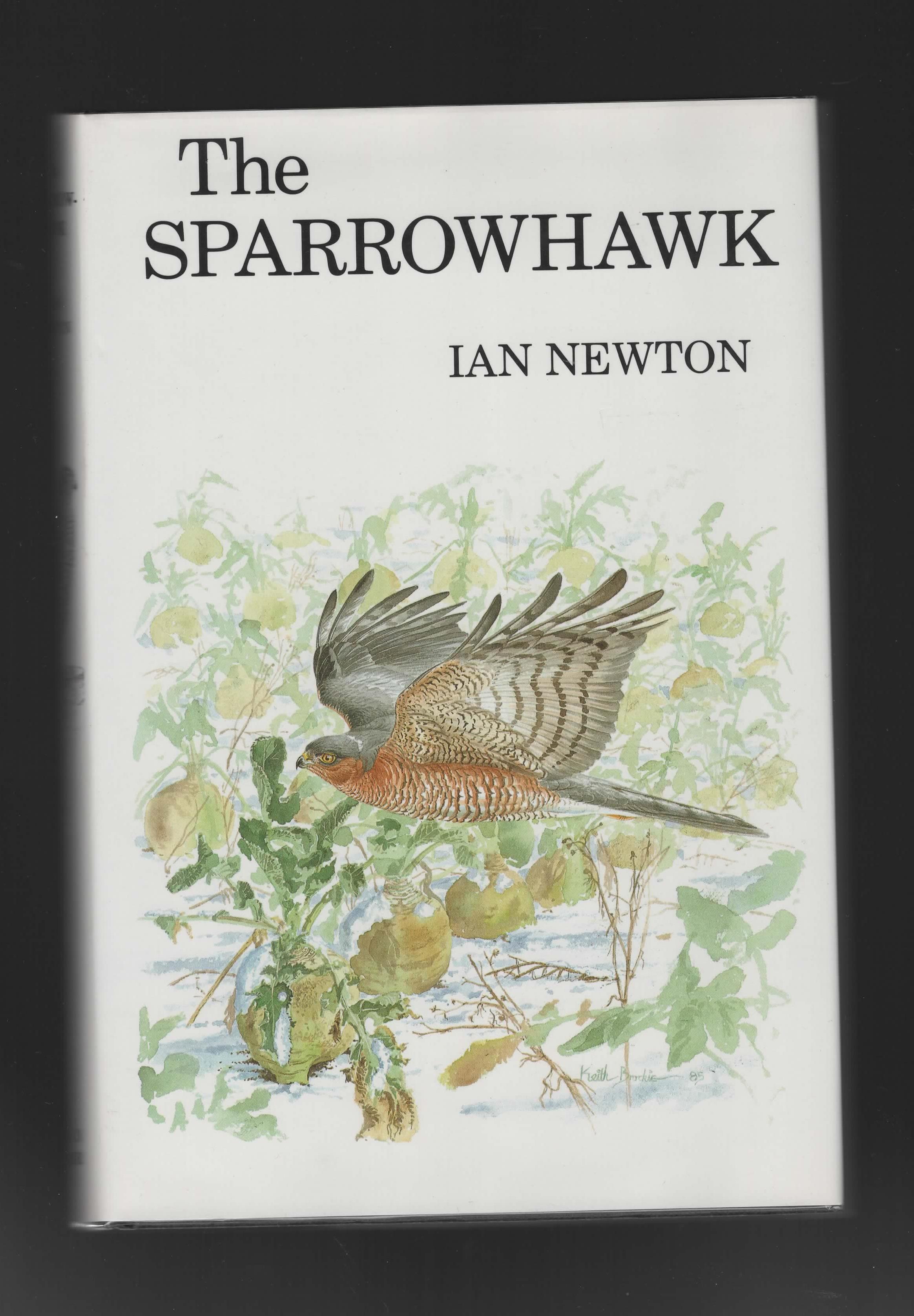 The Sparrowhawk - Newton, Ian