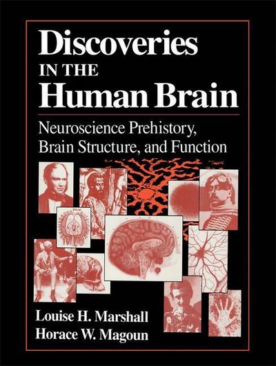 Discoveries in the Human Brain : Neuroscience Prehistory, Brain Structure, and Function - Horace W. Magoun