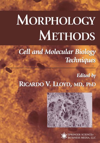 Morphology Methods : Cell and Molecular Biology Techniques - Ricardo V. Lloyd