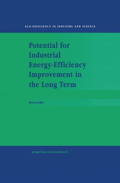 Potential for Industrial Energy-Efficiency Improvement in the Long Term - J. De Beer