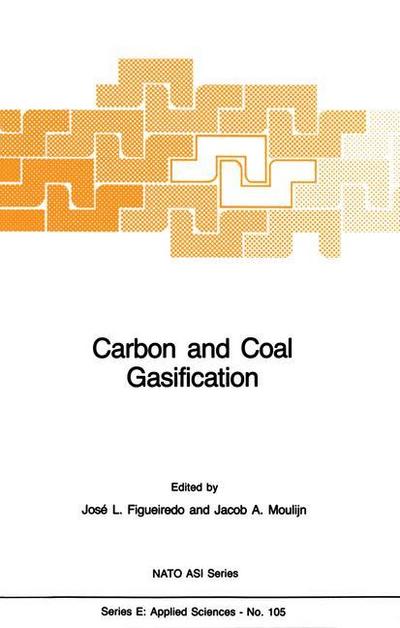 Carbon and Coal Gasification : Science and Technology - Jacob A. Moulijn