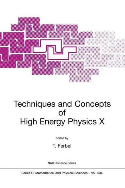 Techniques and Concepts of High Energy Physics X - Thomas Ferbel