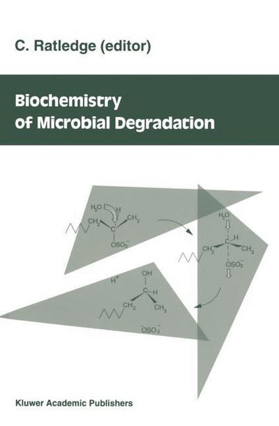 Acidic Precipitation : Soils, Aquatic Processes, and Lake Acidification - Stephen A. Norton