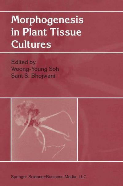 Morphogenesis in Plant Tissue Cultures - Sant Saran Bhojwani