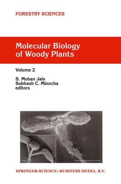 Molecular Biology of Woody Plants : Volume 2 - S. C. Minocha