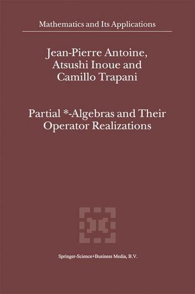 Partial \\*- Algebras and Their Operator Realization - J-P Antoine