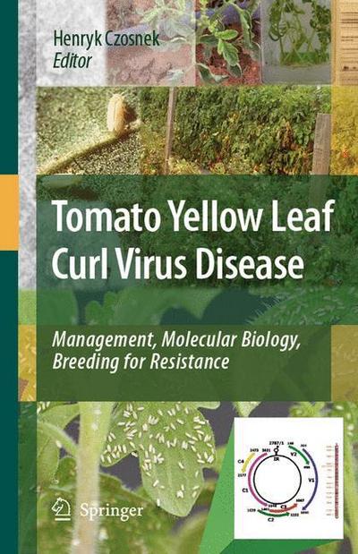 Tomato Yellow Leaf Curl Virus Disease : Management, Molecular Biology, Breeding for Resistance - Henryk Czosnek