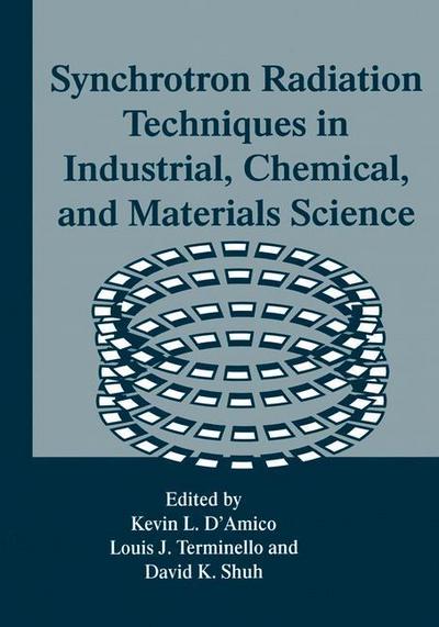 Synchrotron Radiation Techniques in Industrial, Chemical, and Materials Science - Kevin L. D'Amico