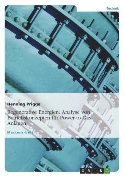 Regenerative Energien: Analyse von Betriebskonzepten für Power-to-Gas-Anlagen - Henning Prigge