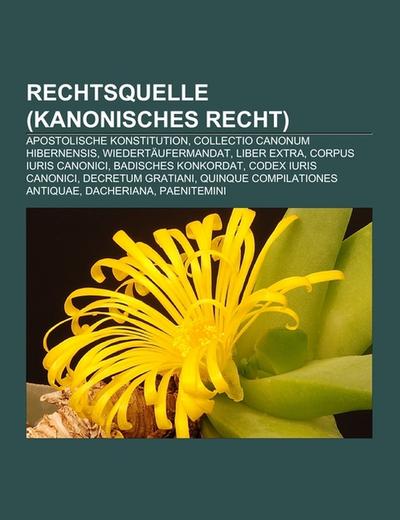 Rechtsquelle (Kanonisches Recht) : Apostolische Konstitution, Collectio Canonum Hibernensis, Wiedertäufermandat, Liber Extra, Corpus Iuris Canonici, Badisches Konkordat, Codex Iuris Canonici, Decretum Gratiani, Quinque Compilationes Antiquae, Dacheriana, Paenitemini