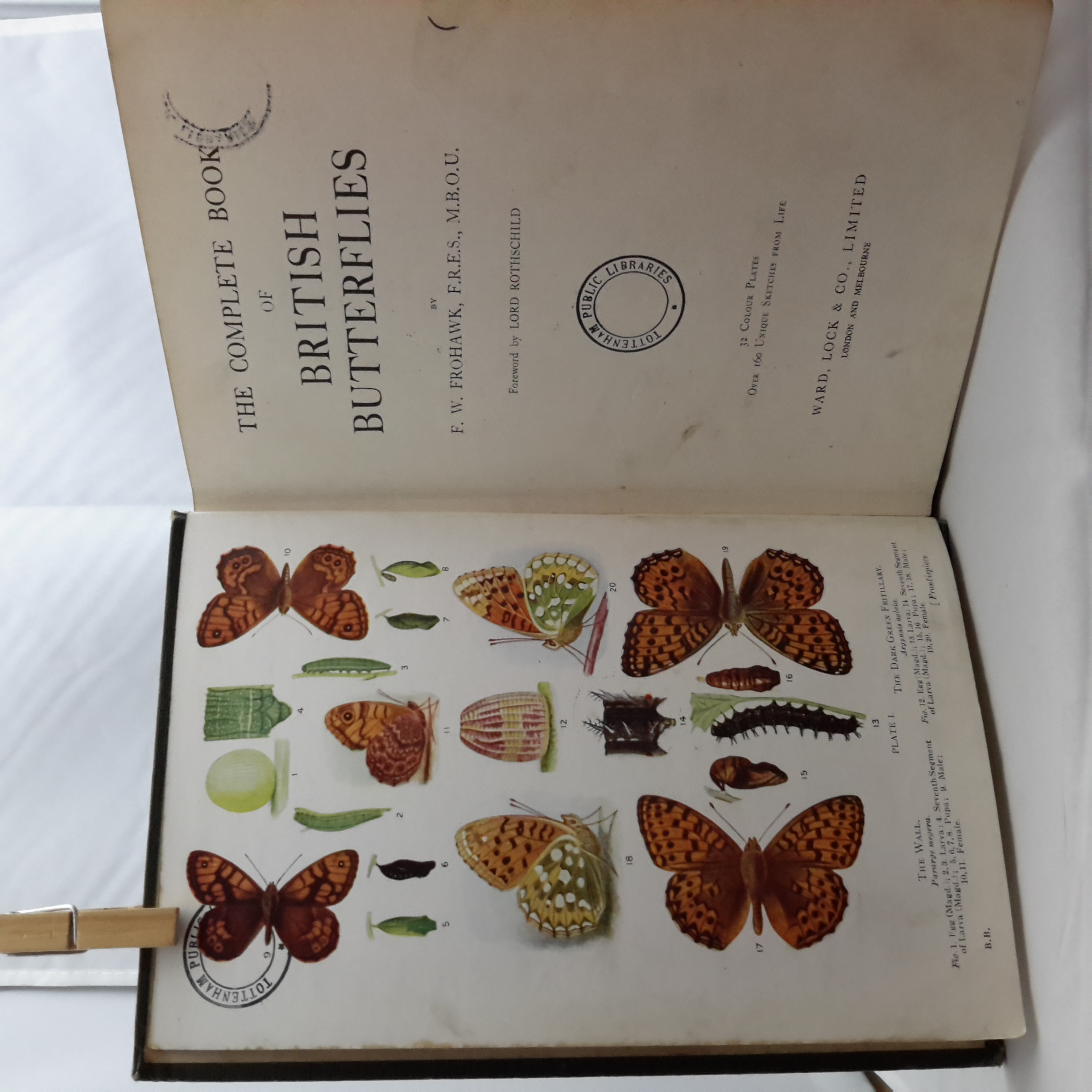 The Complete Book Of British Butterflies By Frohawk F W Foreword By