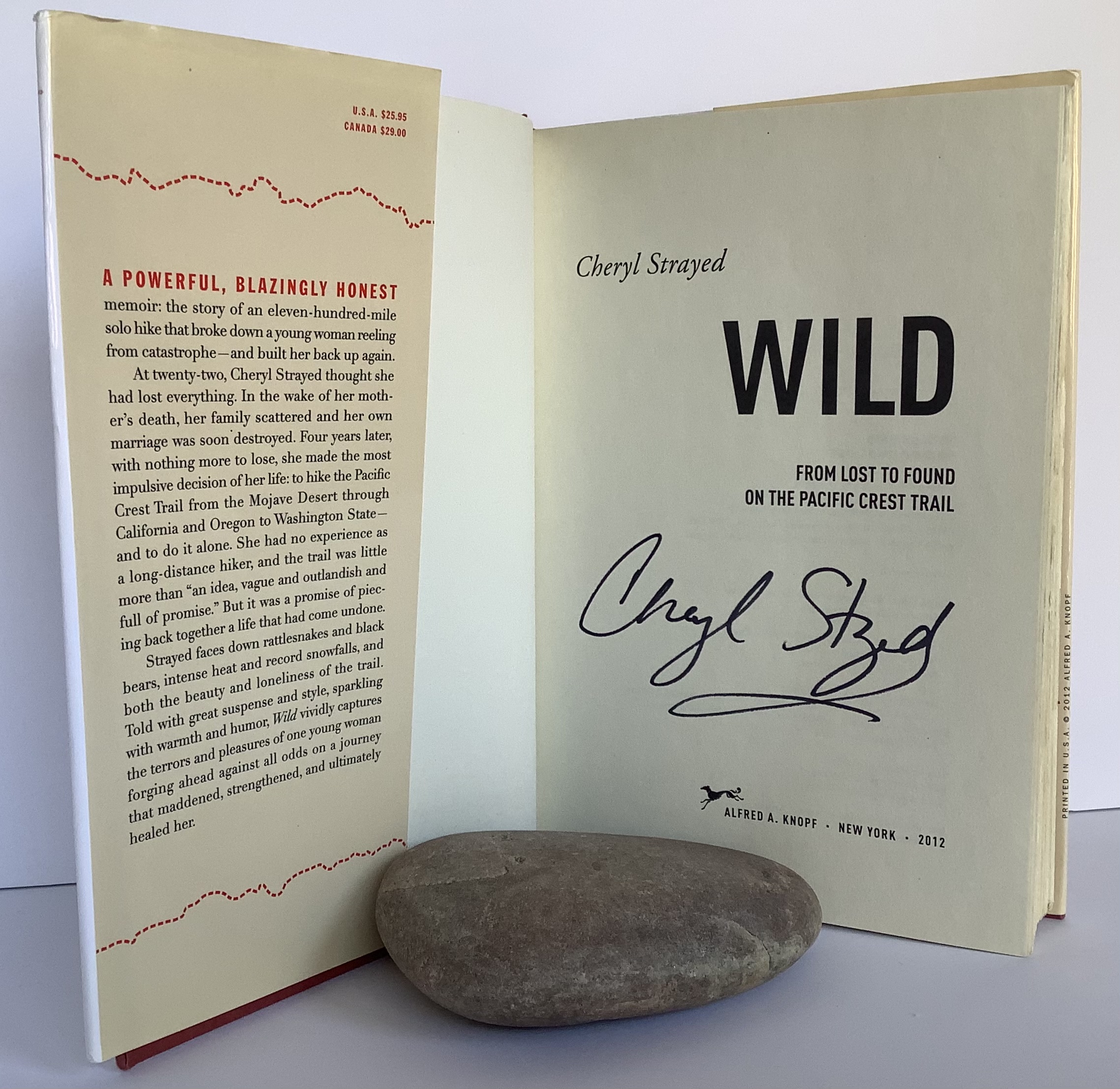 Wild novel Wild novel