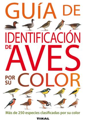 Guía de identificación de aves por su color - Taylor, Moss