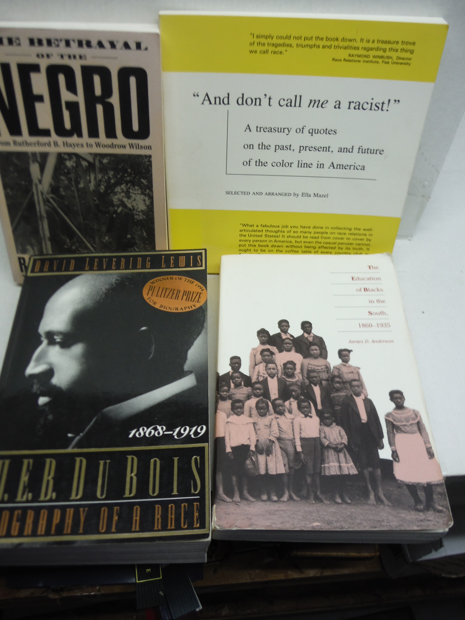 Twelve African-American History and Biography Books by Various 