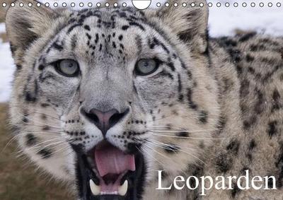 Leoparden (Wandkalender immerwährend DIN A4 quer) : Schönheit, Kraft und Ästhetik in perfekter Harmonie (Monatskalender, 14 Seiten) - Elisabeth Stanzer