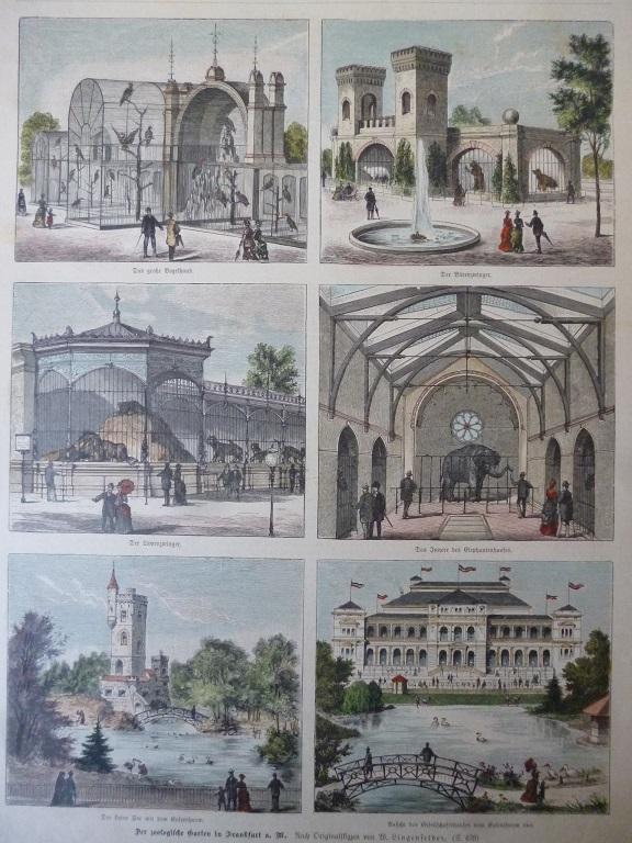 kolorierter Holzstich Der zoologische Garten in Frankfurt a. M