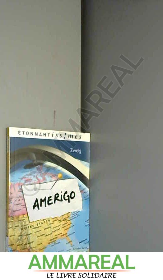 Amerigo : Récit d'une erreur historique - Stefan Zweig et Elisabeth Landes