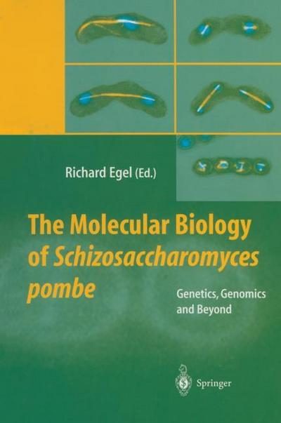 The Molecular Biology of Schizosaccharomyces pombe : Genetics, Genomics and Beyond - Richard Egel