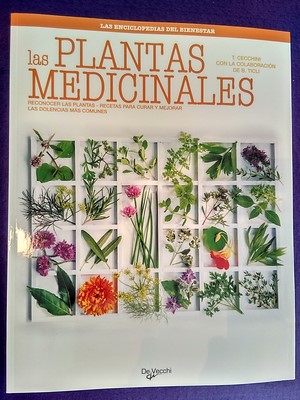 Las plantas medicinales: Reconocer las plantas, recetas para curar y mejorar las dolencias más comunes - Tina Cechinni / Bernardo Ticli