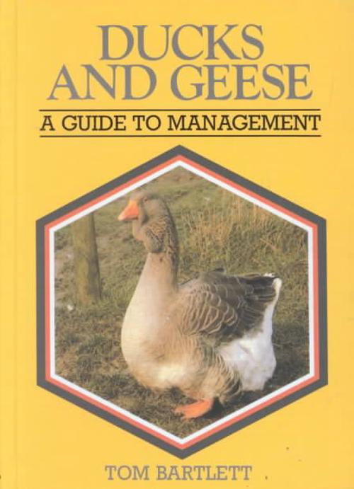 Ducks & Geese (Hardcover) - Tom Bartlett