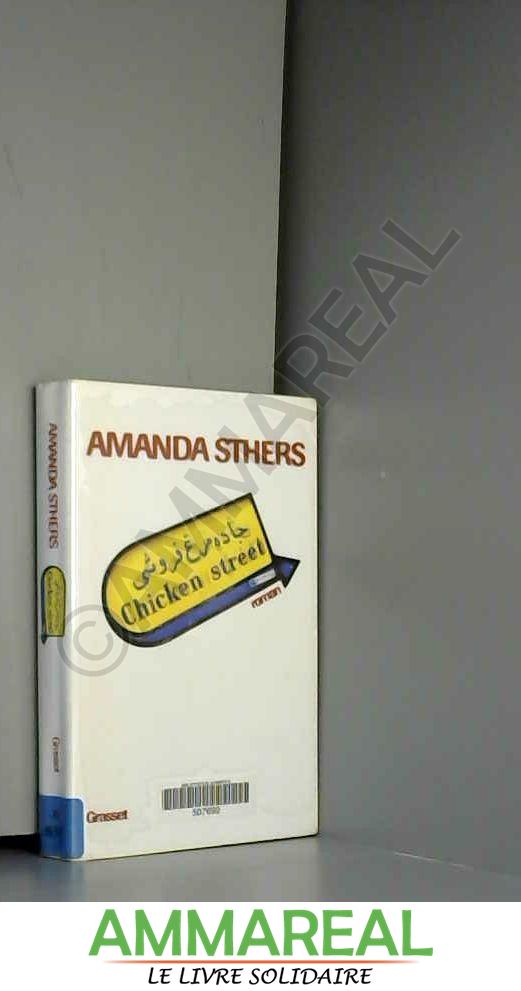 Chicken Street - Amanda Sthers