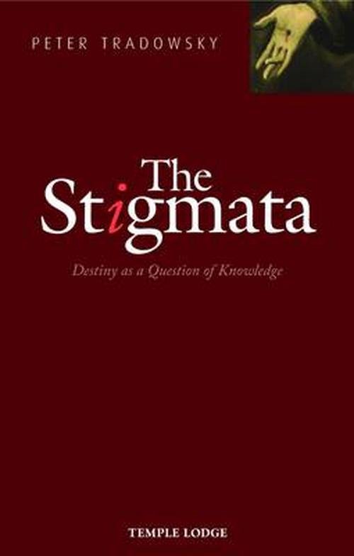 Stigmata (Paperback) - Peter Tradowsky
