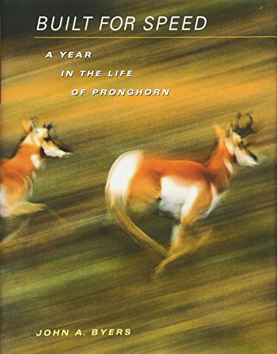 Built for Speed: A Year in the Life of Pronghorn - Byers, John A.