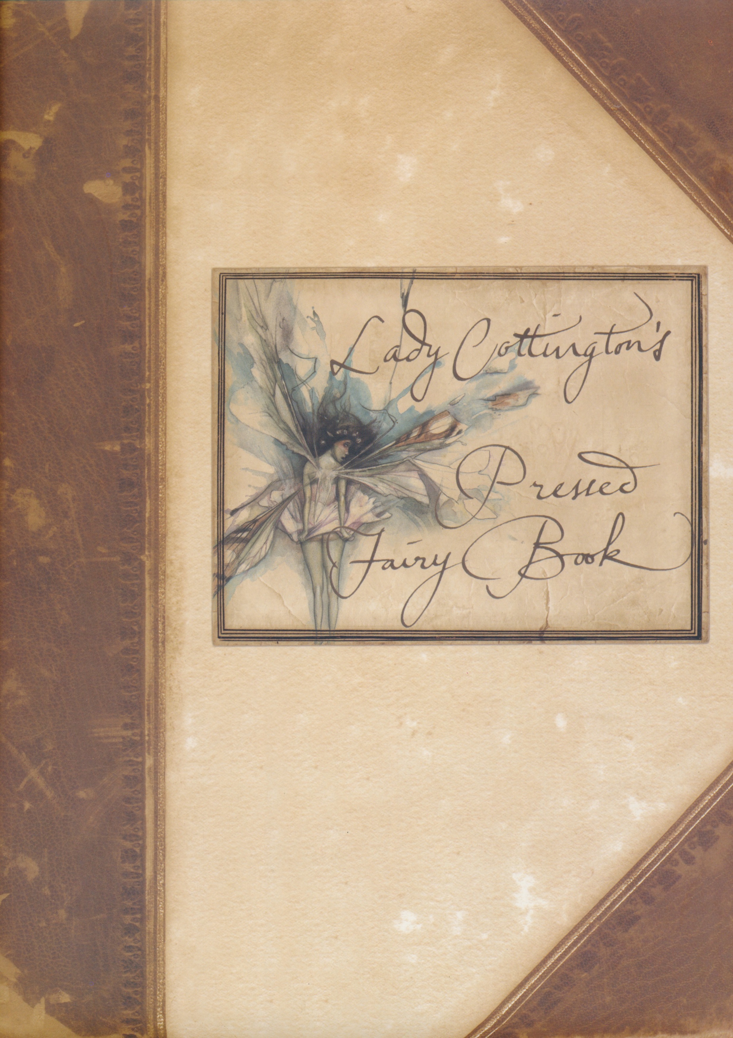 Lady Cottington's Pressed Fairy Book SIGNED w/sketch Brian Froud [Fine] [Hardcover]