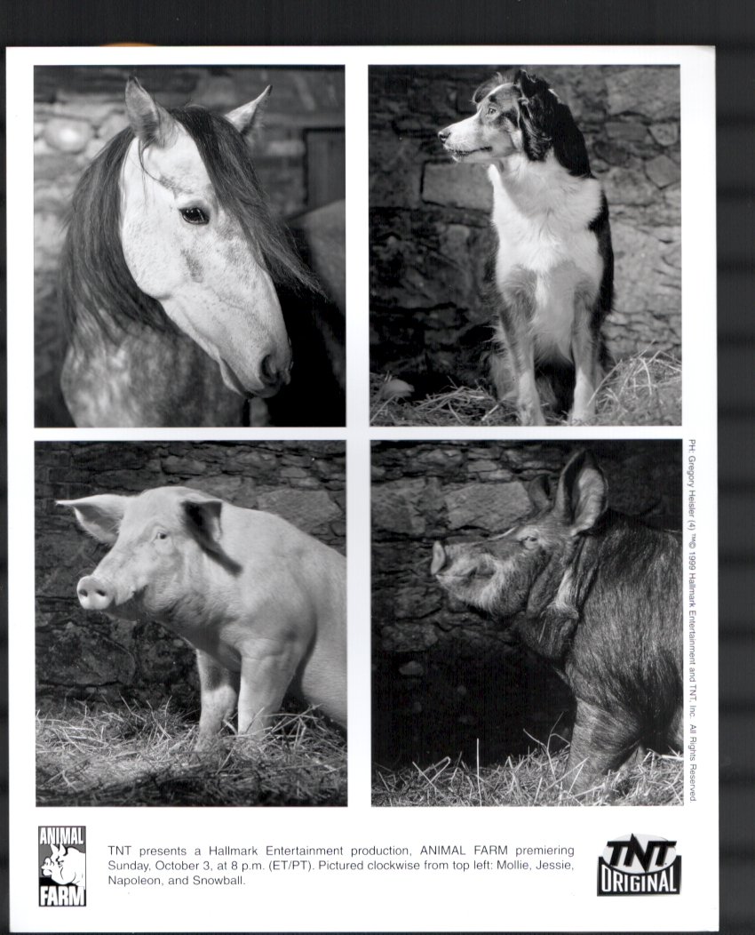 Animal Farm 8x10 B&W Movie Still-Kelsey Grammer-Ian Holm-Julia  Louis-Dreyfus: (1999) Photograph | DTA Collectibles