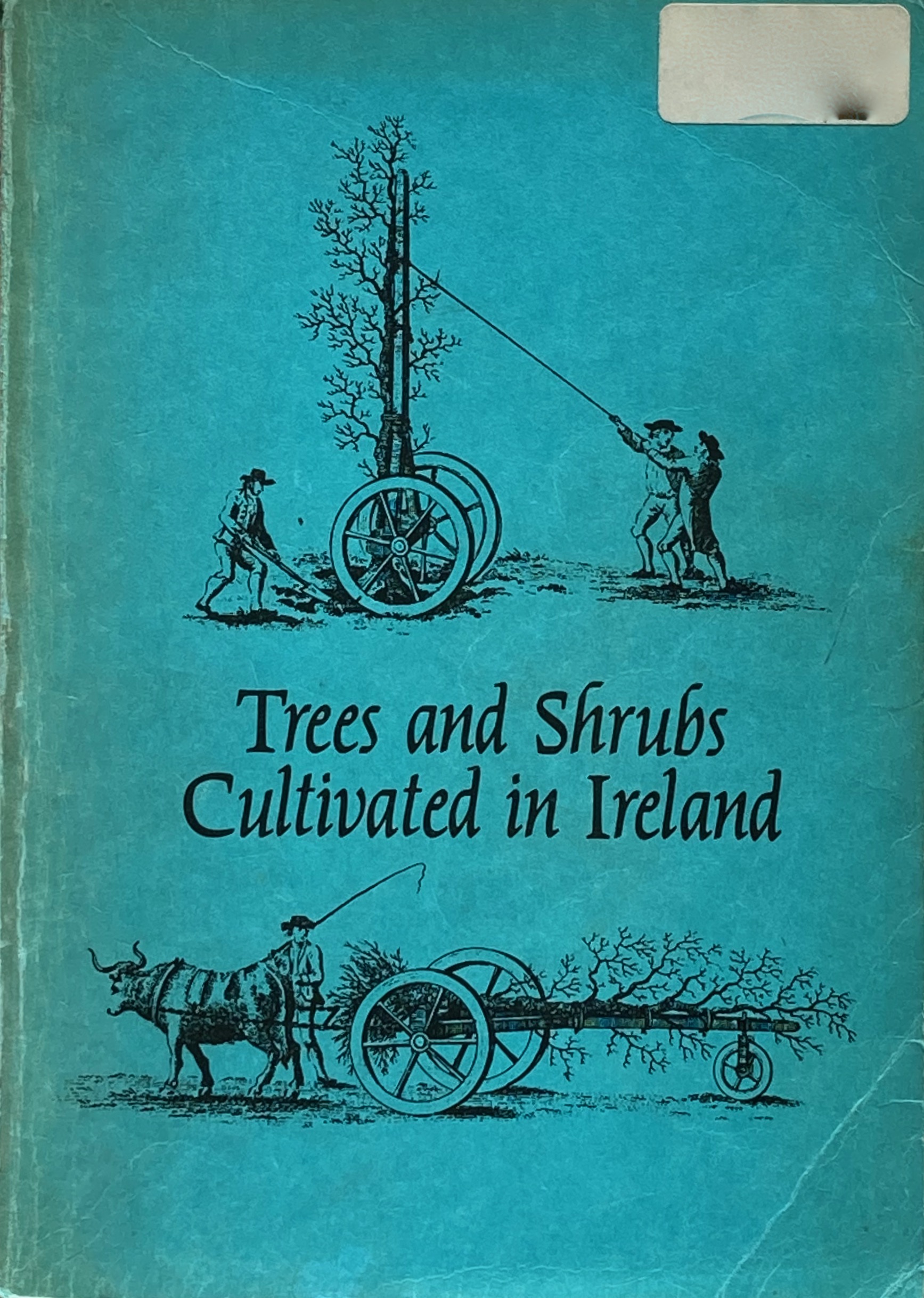 Trees and shrubs cultivated in Ireland - Forrest, M.; Nelson, E.C. (ed.)