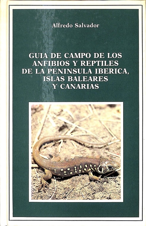 GUÍA DE CAMPO DE LOS ANFIBIOS Y REPTILES DE LA PENÍNSULA IBÉRICA, ISLAS BALEARES Y CANARIAS. - SALVADOR, ALFREDO