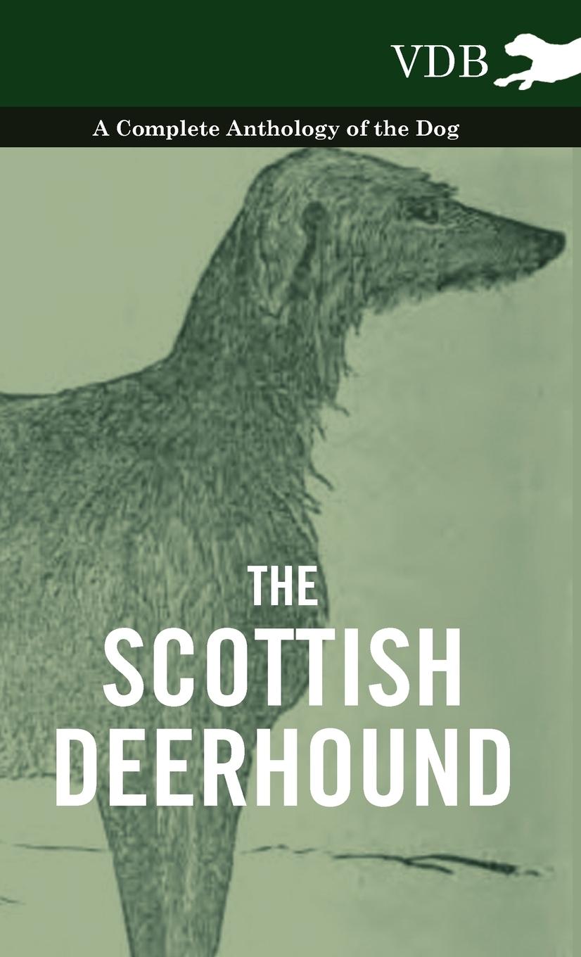 The Scottish Deerhound - A Complete Anthology of the Dog - Various