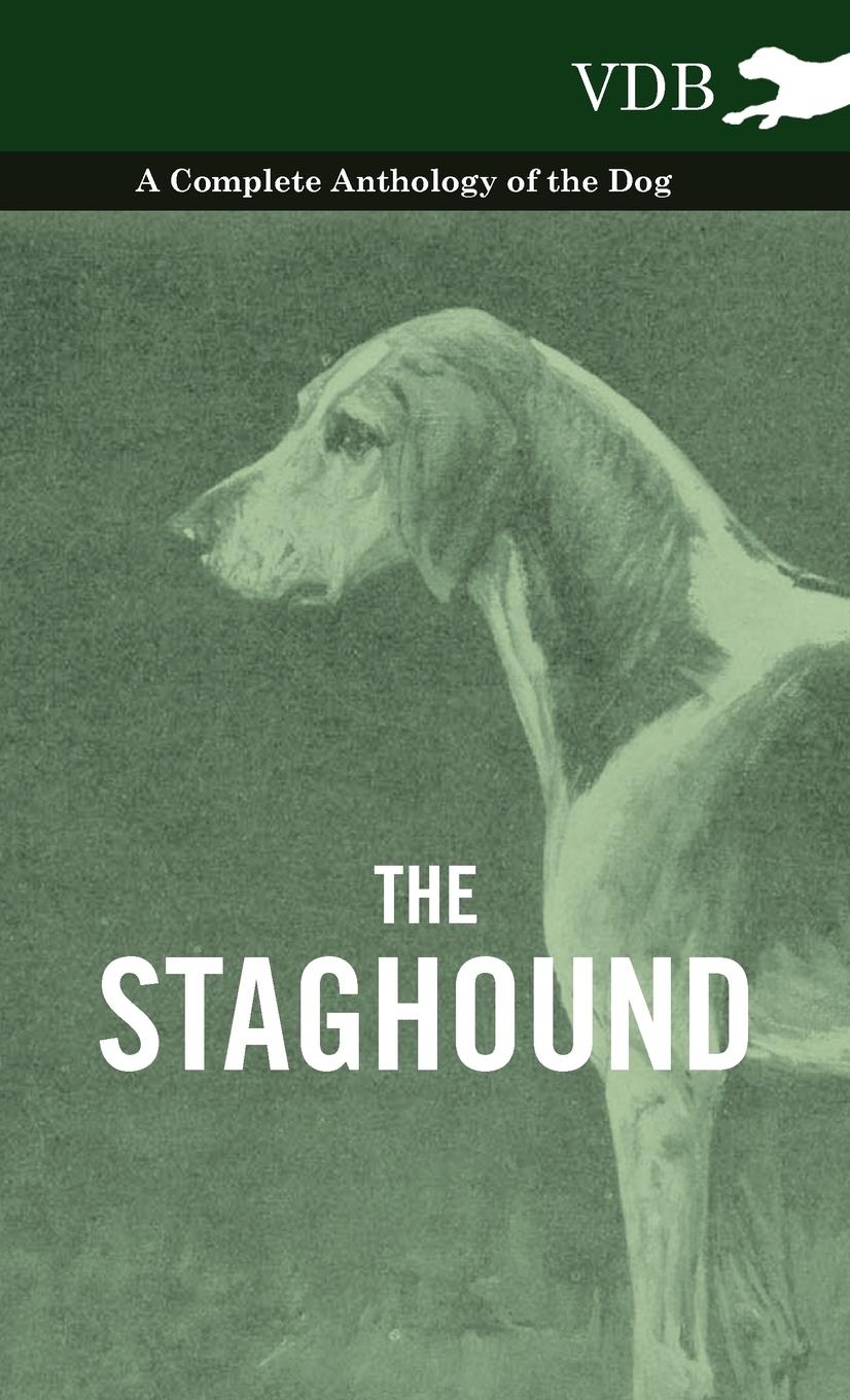 The Staghound - A Complete Anthology of the Dog - Various